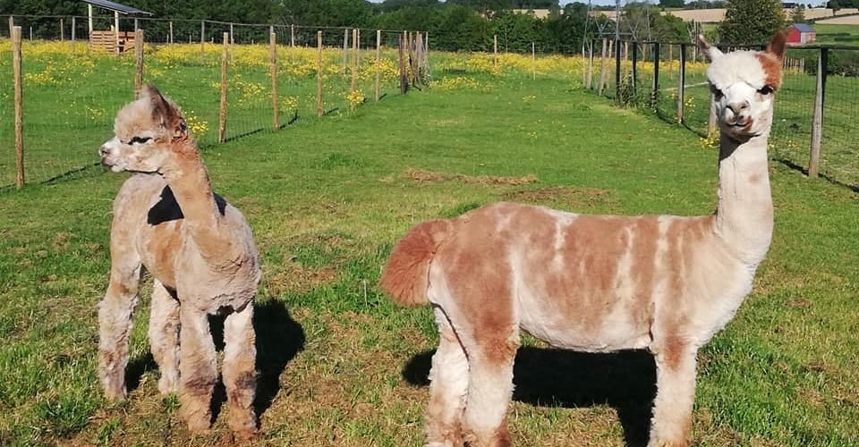 Tourisme – Pays de Thiérache