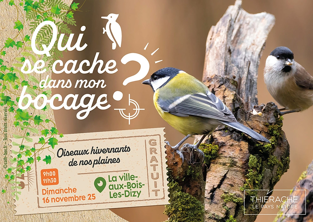 SORTIE NATURE 5 NOV 25 - LA VILLE AUX BOIS LES DIZY - PAYS DE THIERACHE