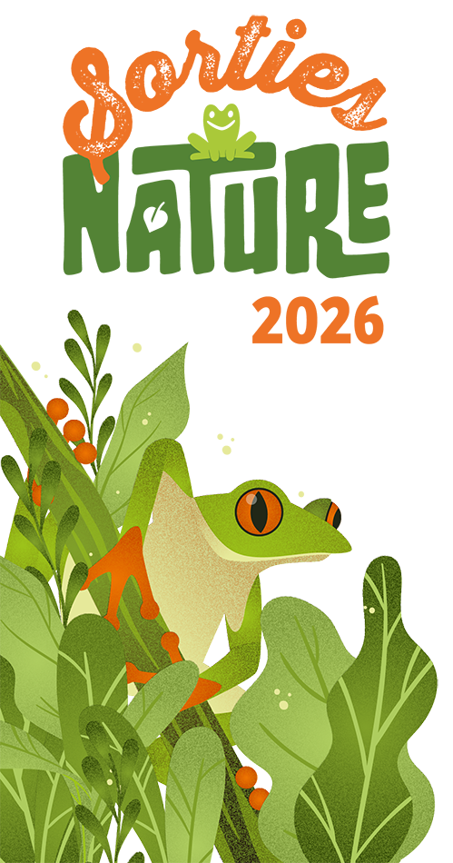 Logo Sorties nature en Thiérache ©cath-box.fr